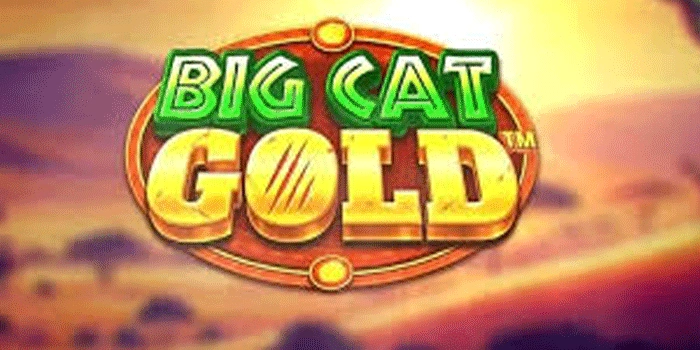 Pola Gacor Big Cat Gold Auto Maxwin Setiap Putaran